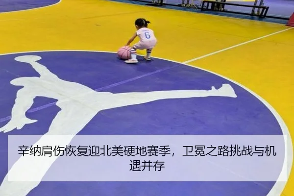 辛纳肩伤恢复迎北美硬地赛季，卫冕之路挑战与机遇并存