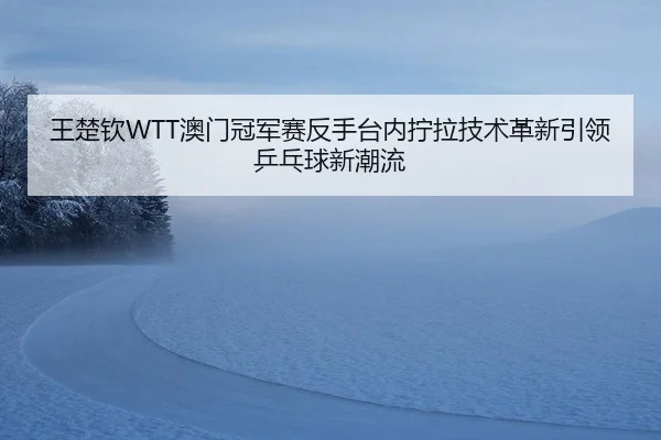 wang-chu-qin-ao-men-guan-jun-sai-fan-shou-tai-nei-ning-la-ji-shu-ge-xin-yin-ling-ping-pang-qiu-xin-chao-liu-2-159.jpg
