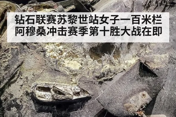 钻石联赛苏黎世站女子一百米栏阿穆桑冲击赛季第十胜大战在即